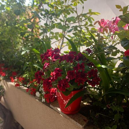 Apartments Gazi Ulcinj Exteriér fotografie